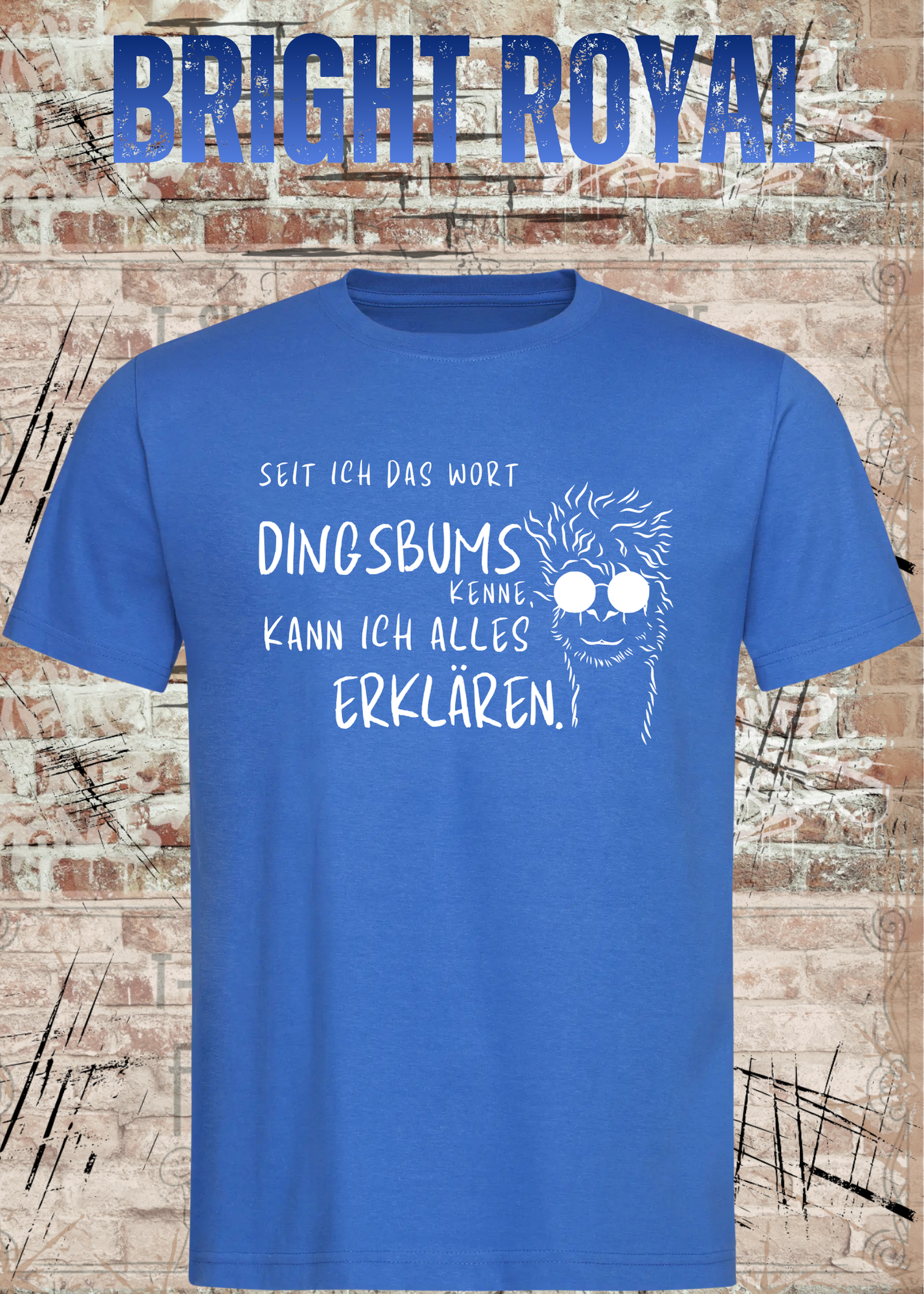 Seit ich das Wort Dingsbums kenne kann ich alles erklären T-Shirt – Lustiges Spruchshirt Unisex