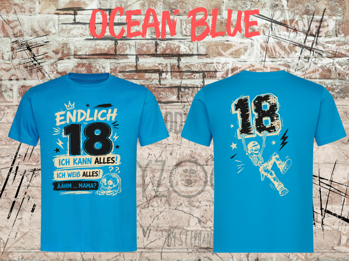 Unisex-T-Shirt „Endlich 18 – Ich kann alles, ich weiß alles“ in Ocean Blue, Vorder- und Rückseite.