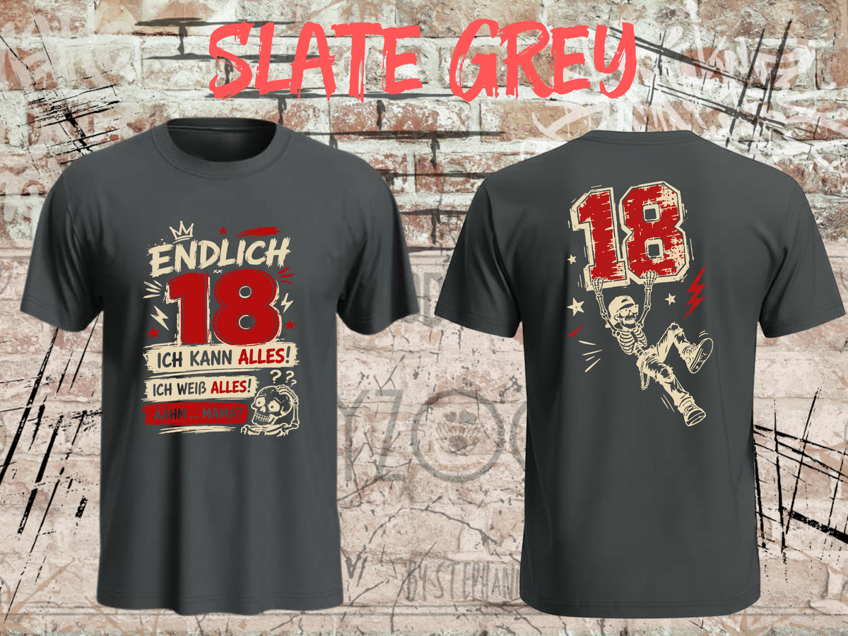 Unisex-T-Shirt „Endlich 18 – Ich kann alles, ich weiß alles“ in Slate Grey, Vorder- und Rückseite.