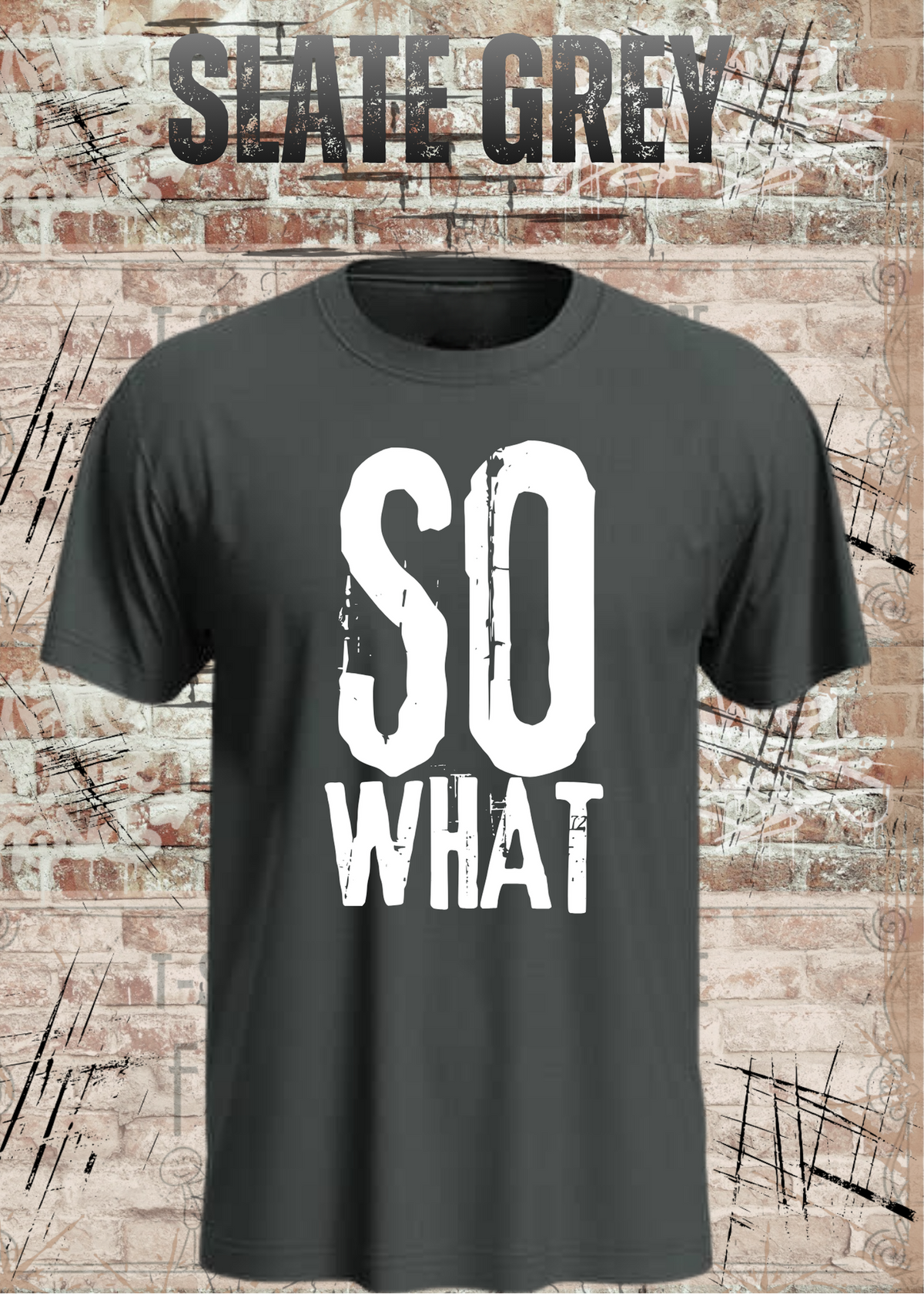 SO WHAT T-Shirt Herren & Damen in Slate Grey.