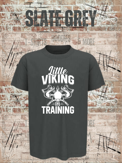 Kinder T-Shirt Little Viking in Training in Slate Grey.